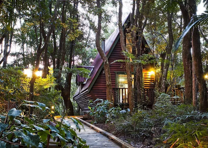 The Mouses House Rainforest Retreat