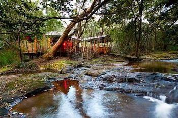 The Mouses House Rainforest Retreat Lodge