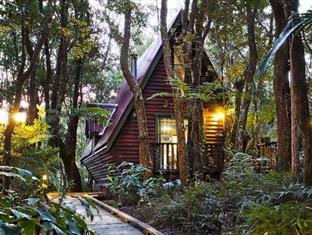 The Mouses House Rainforest Retreat Lodge