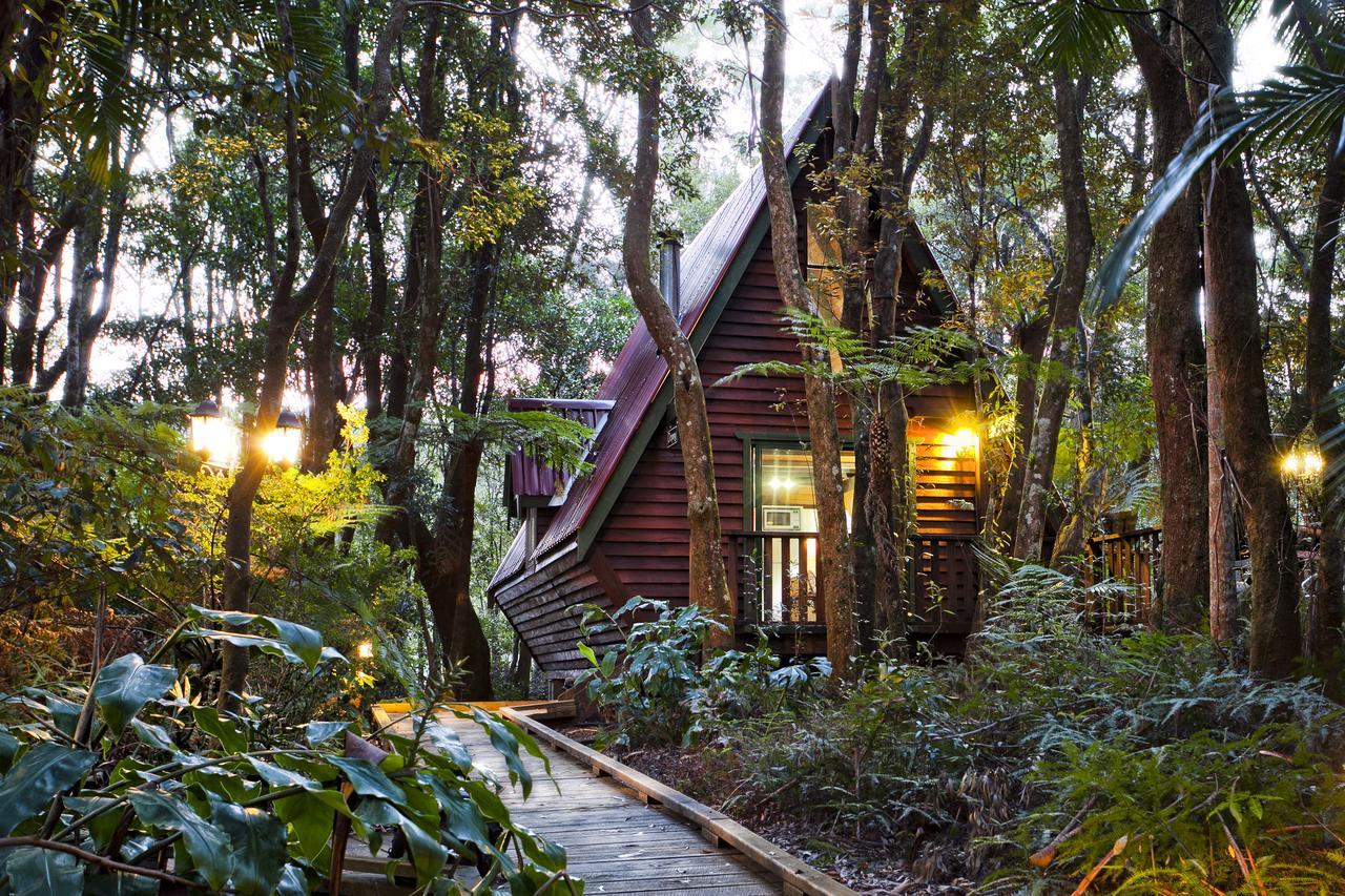 The Mouses House Rainforest Retreat Lodge Springbrook