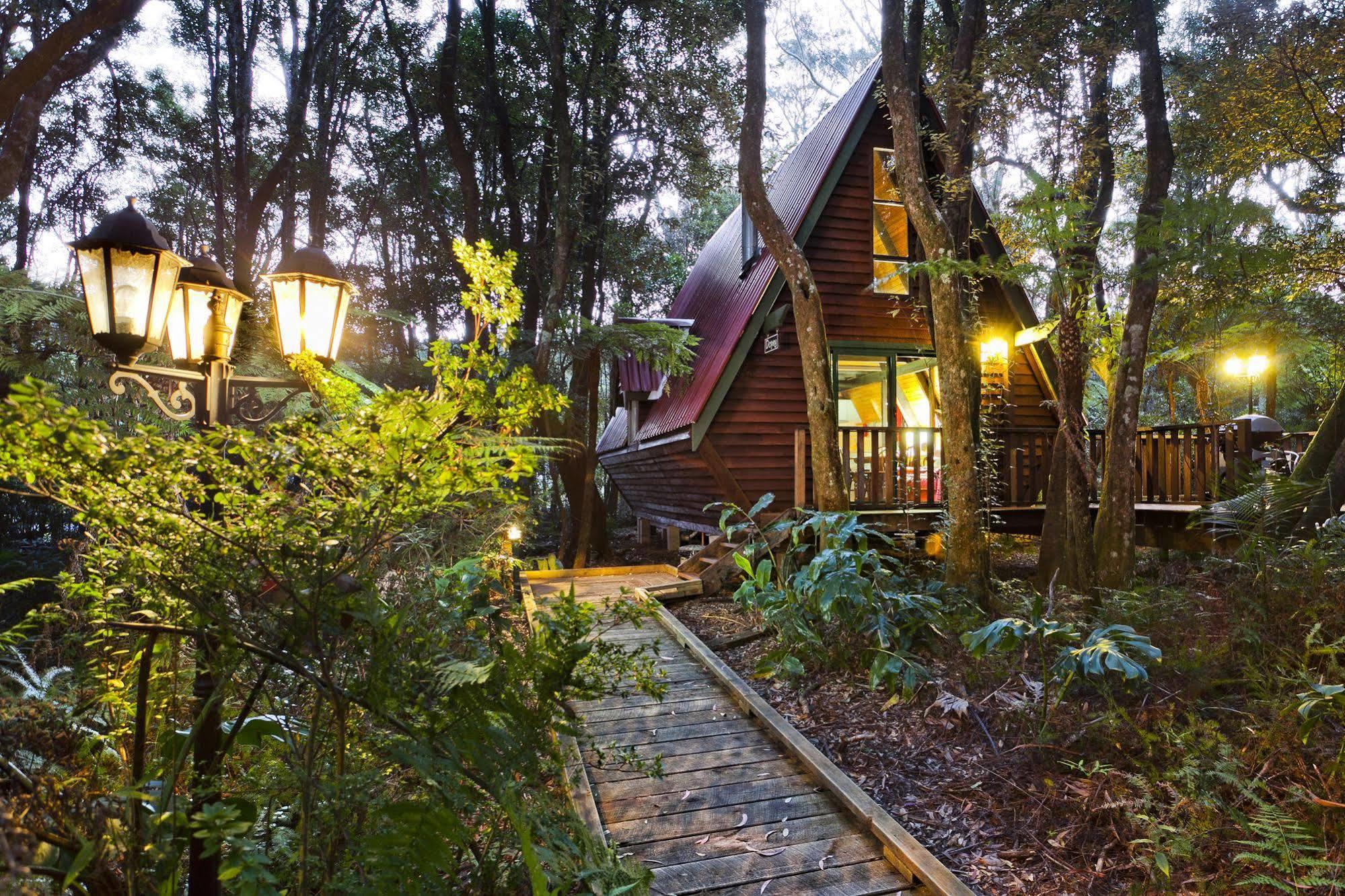 Lodge The Mouses House Rainforest Retreat Springbrook