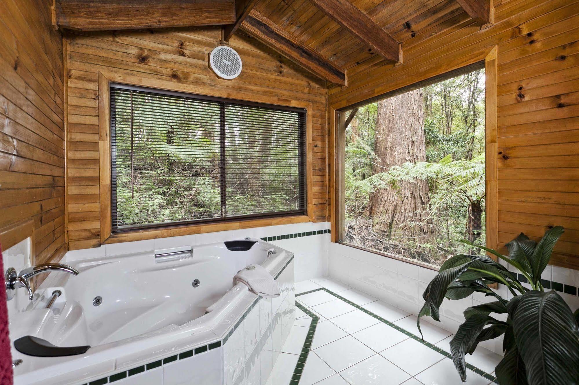 The Mouses House Rainforest Retreat Lodge *