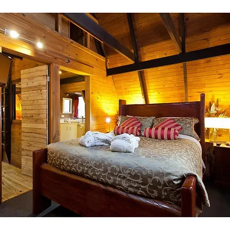 The Mouses House Rainforest Retreat Springbrook Room photo