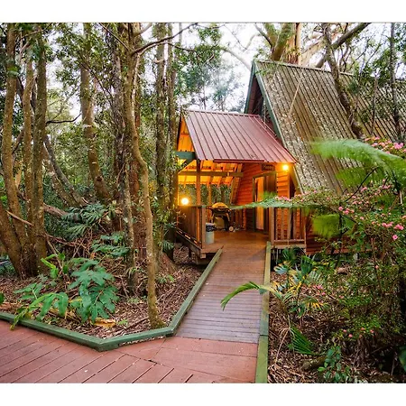 The Mouses House Rainforest Retreat Springbrook Room photo