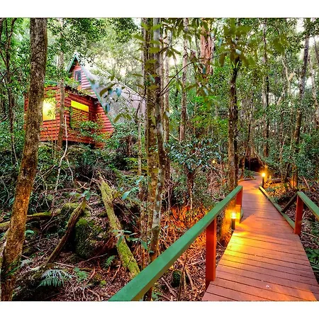 The Mouses House Rainforest Retreat Springbrook Room photo