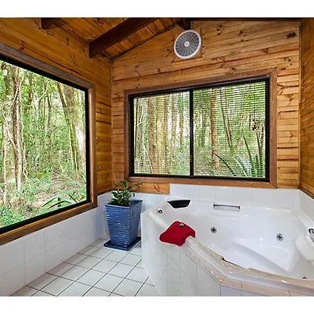 The Mouses House Rainforest Retreat Springbrook Room photo
