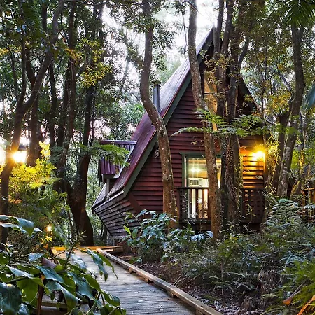 The Mouses House Rainforest Retreat Springbrook Exterior photo