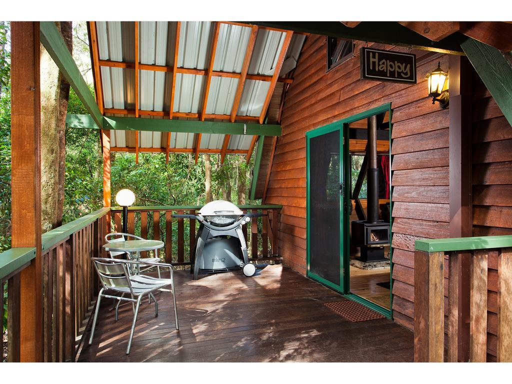 The Mouses House Rainforest Retreat Springbrook