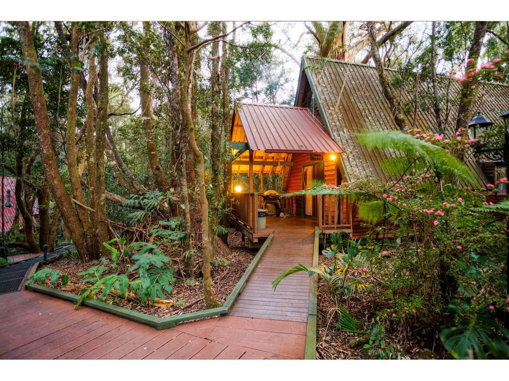 The Mouses House Rainforest Retreat *