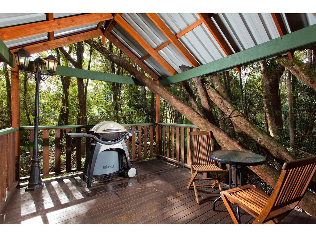 The Mouses House Rainforest Retreat Lodge Springbrook