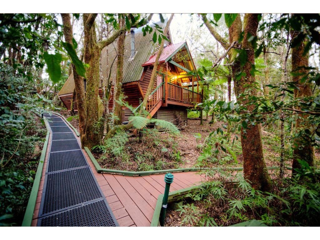 The Mouses House Rainforest Retreat Lodge