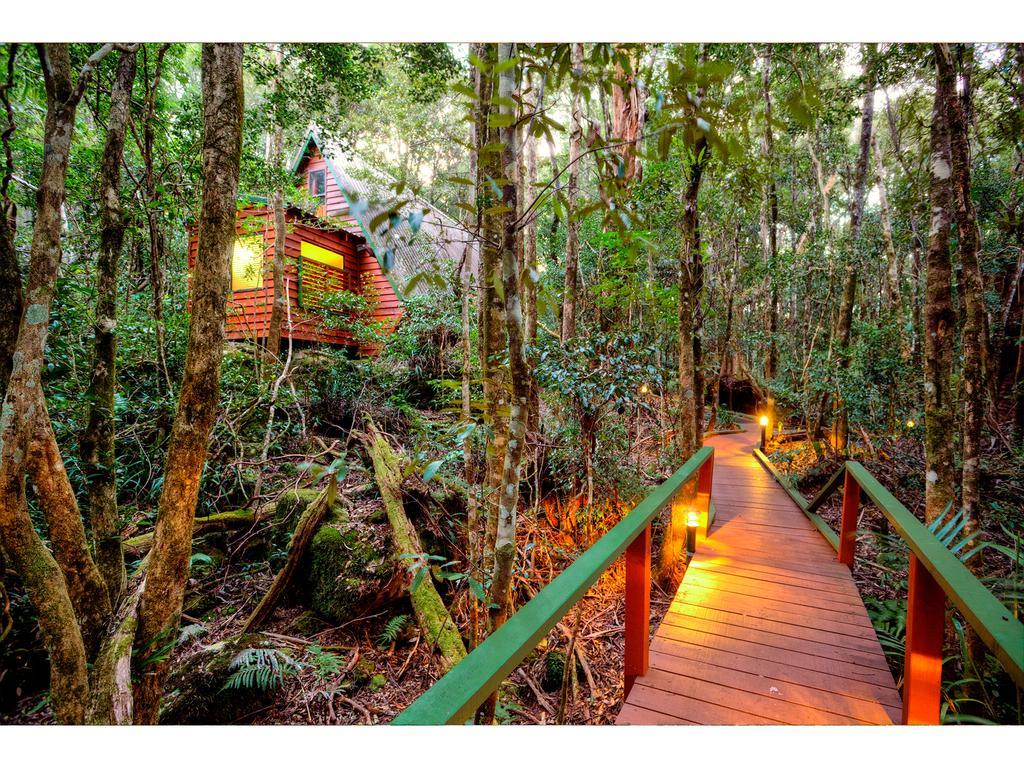 Lodge The Mouses House Rainforest Retreat *