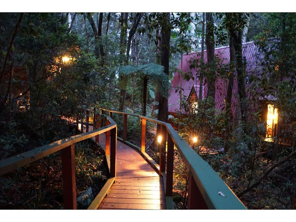 The Mouses House Rainforest Retreat Lodge *