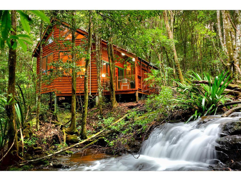 Lodge The Mouses House Rainforest Retreat Springbrook