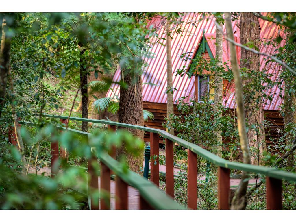 The Mouses House Rainforest Retreat Lodge *