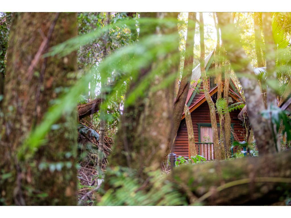 The Mouses House Rainforest Retreat Lodge