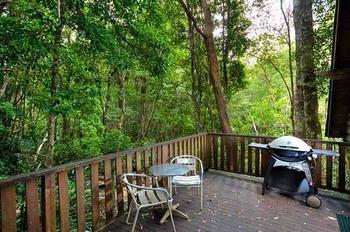 The Mouses House Rainforest Retreat Lodge Springbrook