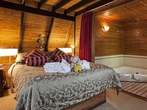 The Mouses House Rainforest Retreat Lodge
