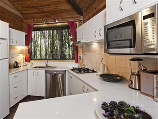 The Mouses House Rainforest Retreat Lodge Springbrook