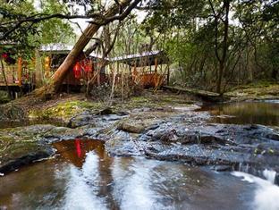 The Mouses House Rainforest Retreat * Springbrook