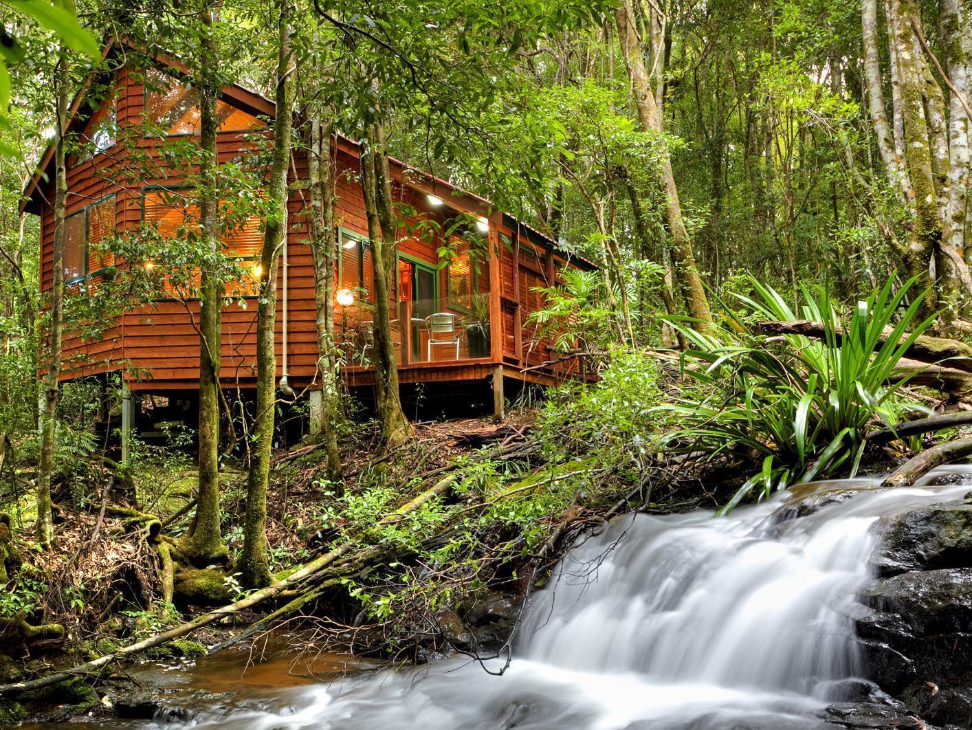 The Mouses House Rainforest Retreat Lodge *
