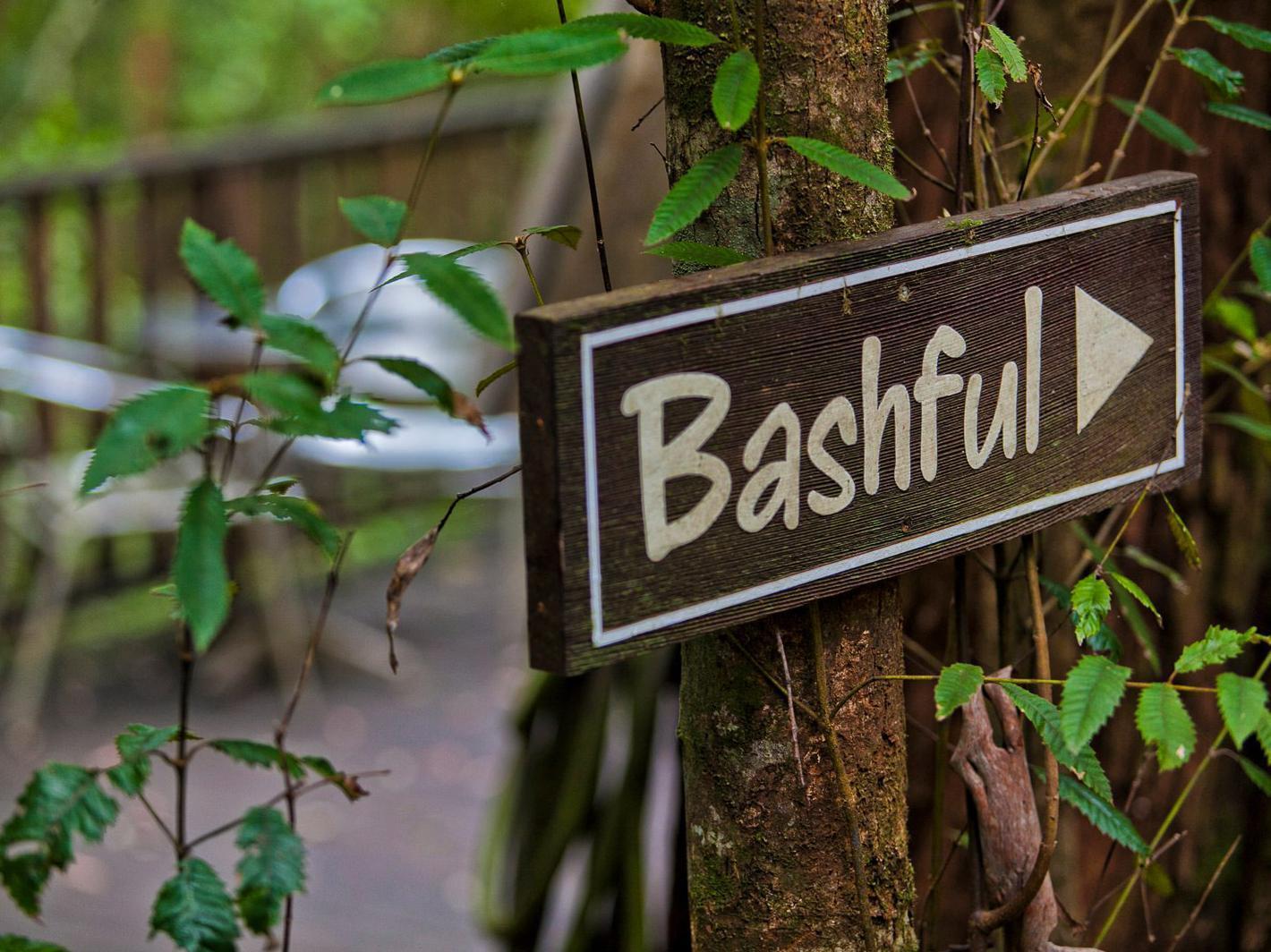 The Mouses House Rainforest Retreat Lodge