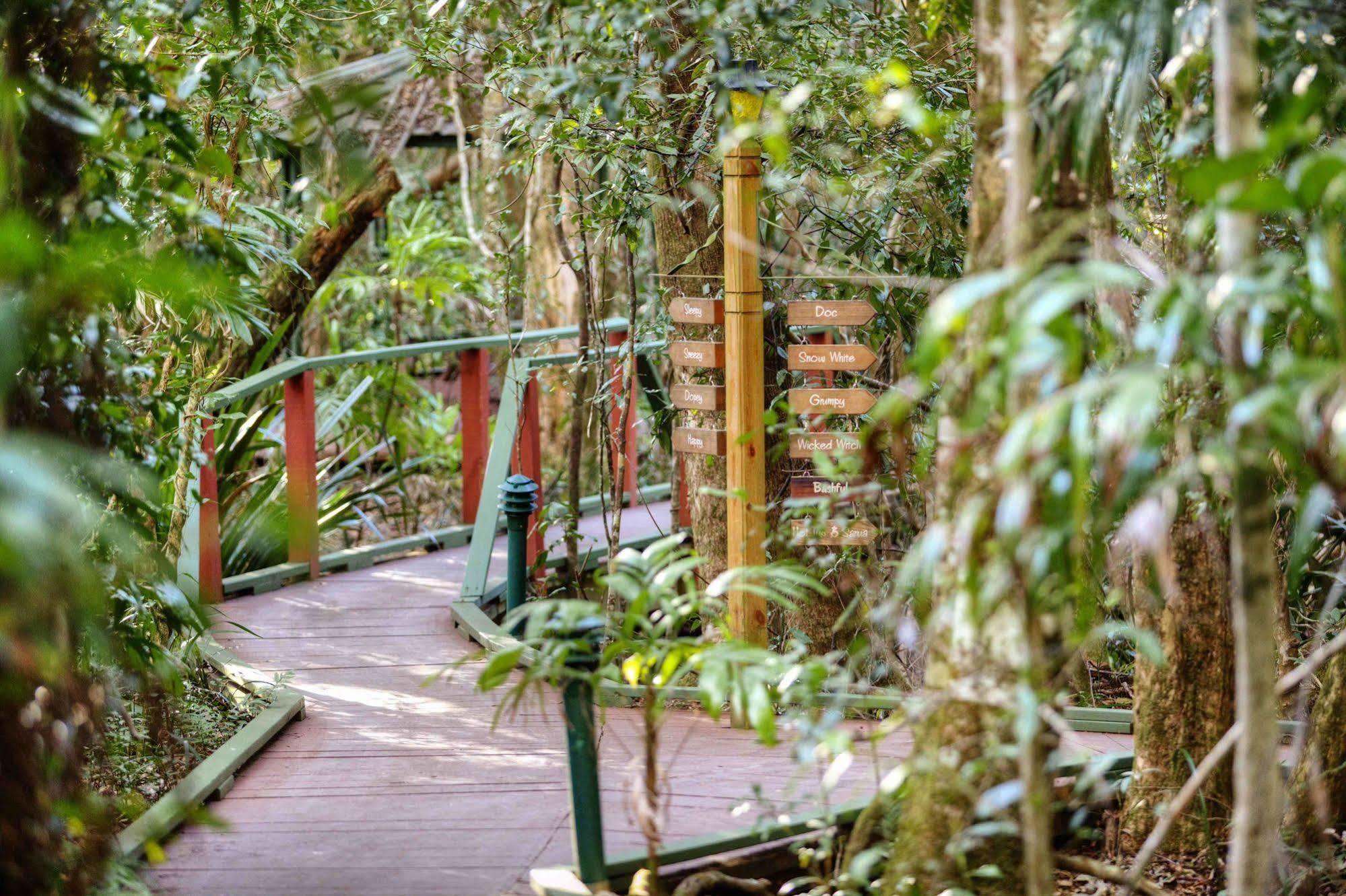 The Mouses House Rainforest Retreat Lodge Springbrook