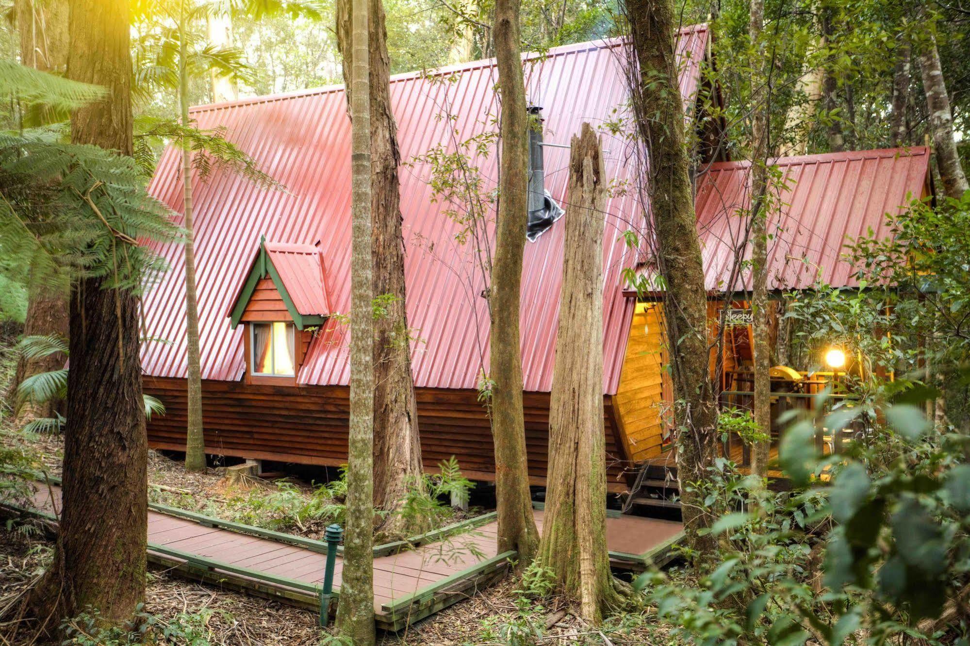 The Mouses House Rainforest Retreat Lodge Springbrook