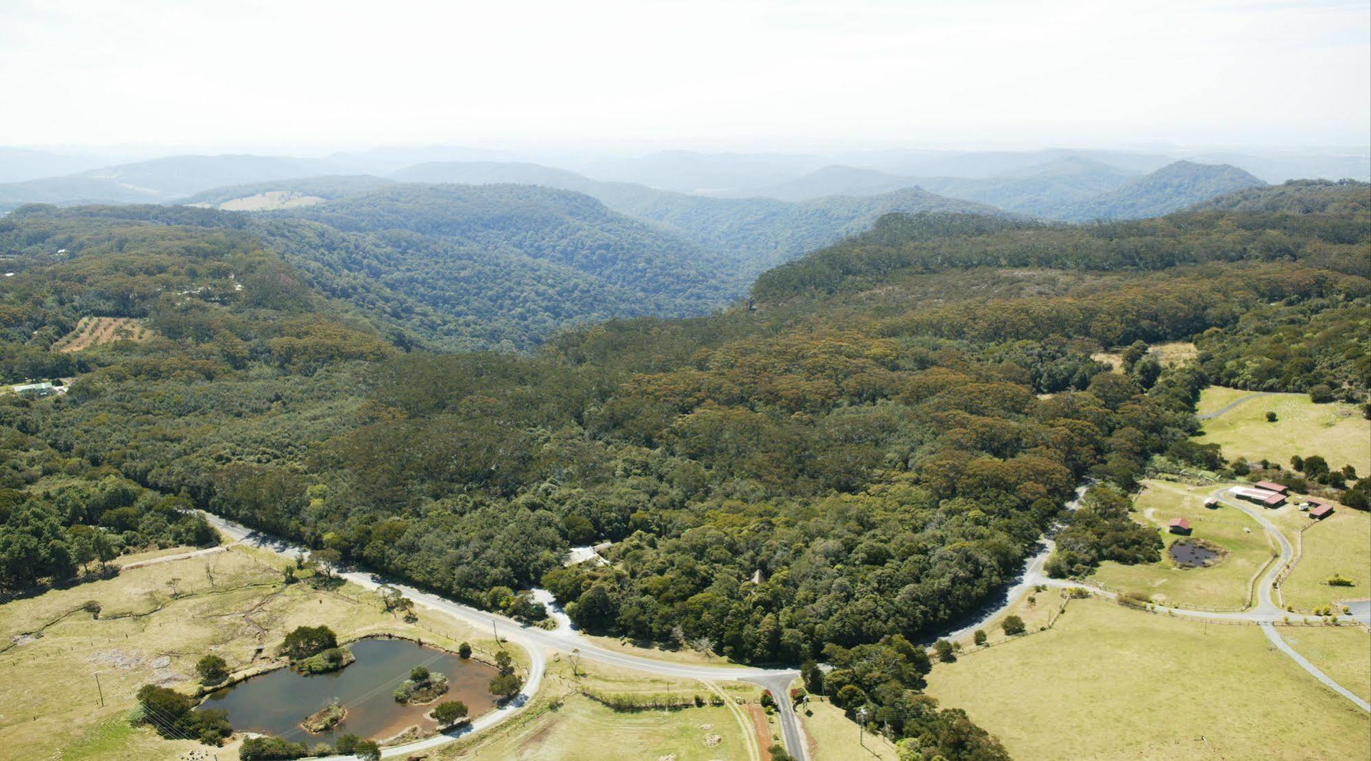 The Mouses House Rainforest Retreat Springbrook