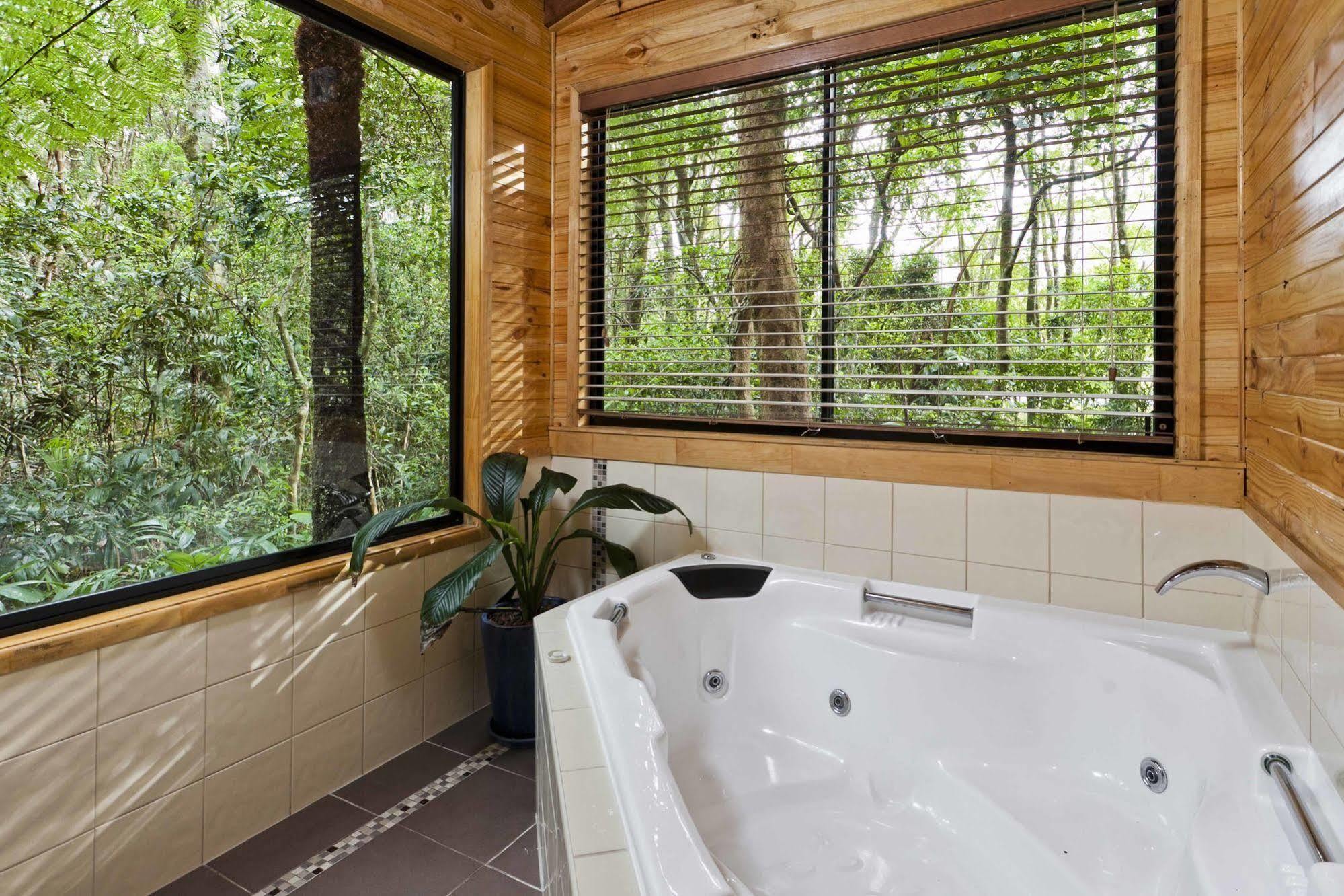 The Mouses House Rainforest Retreat Lodge Springbrook