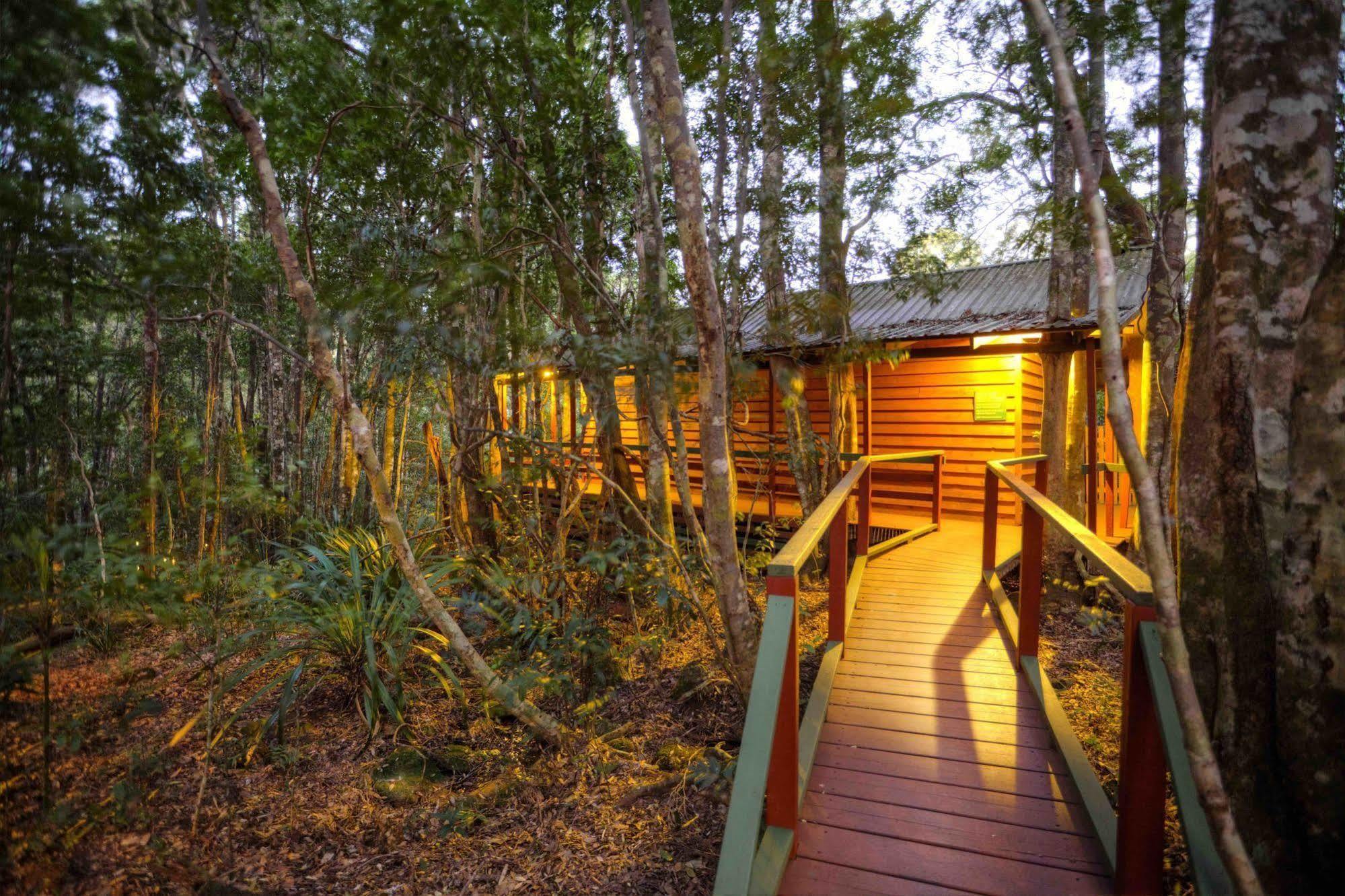 The Mouses House Rainforest Retreat Springbrook